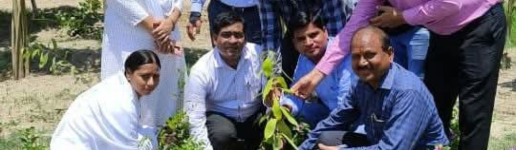 Untitled (1024 x 1024 px) (7)