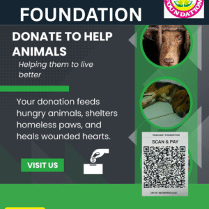 DONATE NOW (39)