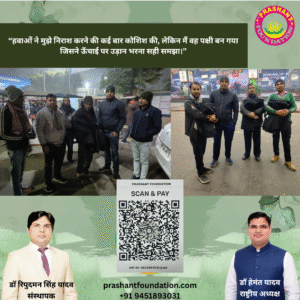 Untitled design (76)